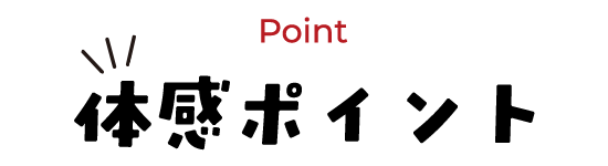 Point 体感ポイント