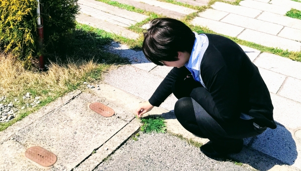 朝のお掃除＊＾＾＊
