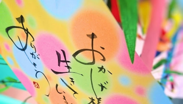 今日は七夕🎋